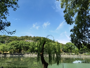 微信图片_20220822150740.jpg
